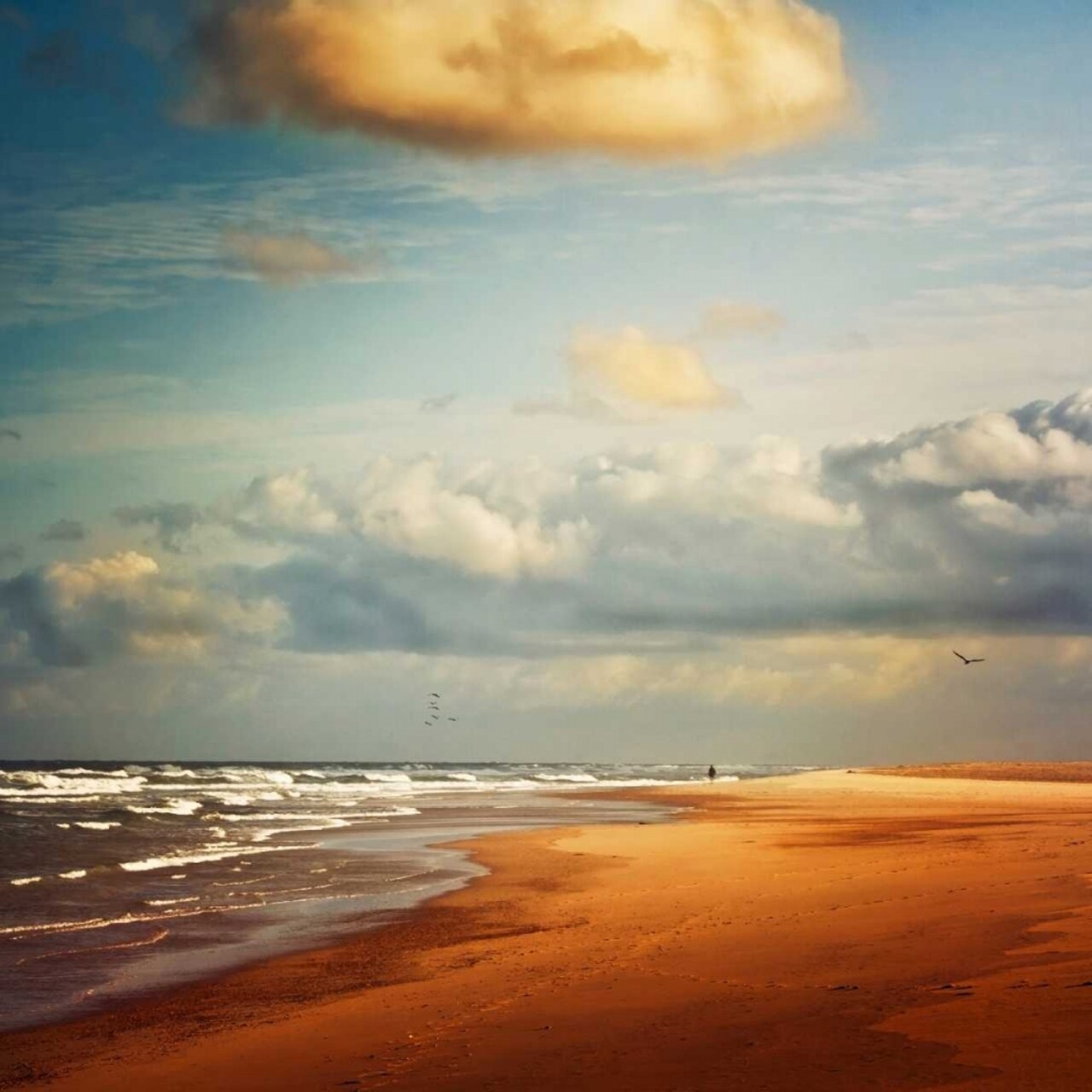 Dream Beach Poster Print by Dirk Wuestenhagen - Item # VARPDXW886D